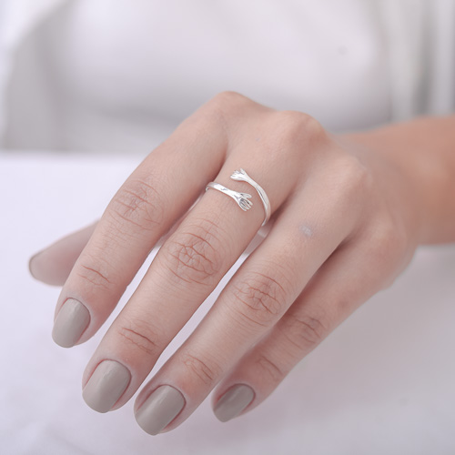 Anel do Abraço - Imagem 3